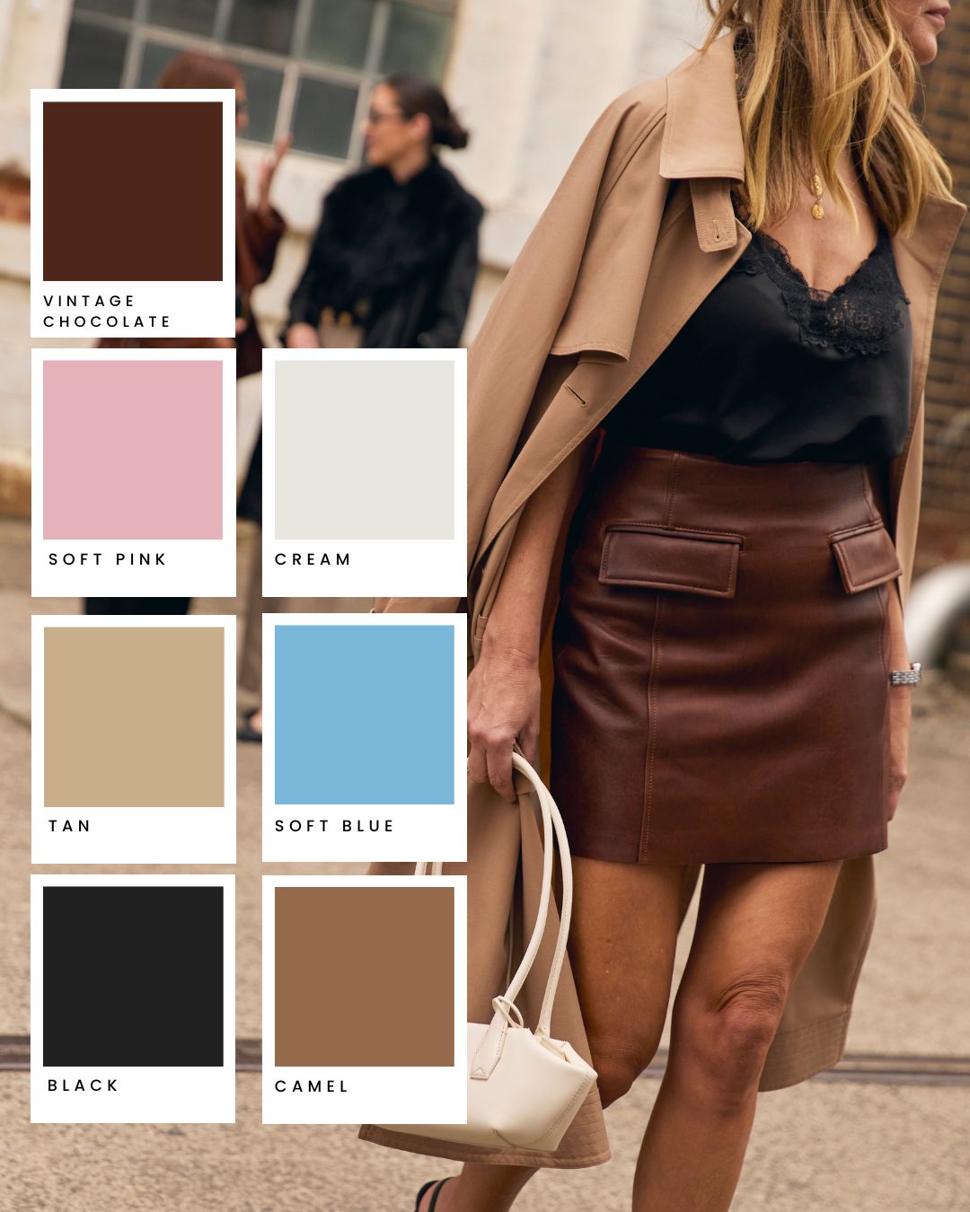 Vintage Chocolate, Soft Pink, Cream, Tan, Soft Blue, Black and Camel colour palette over a Delmar skirt street style photo.